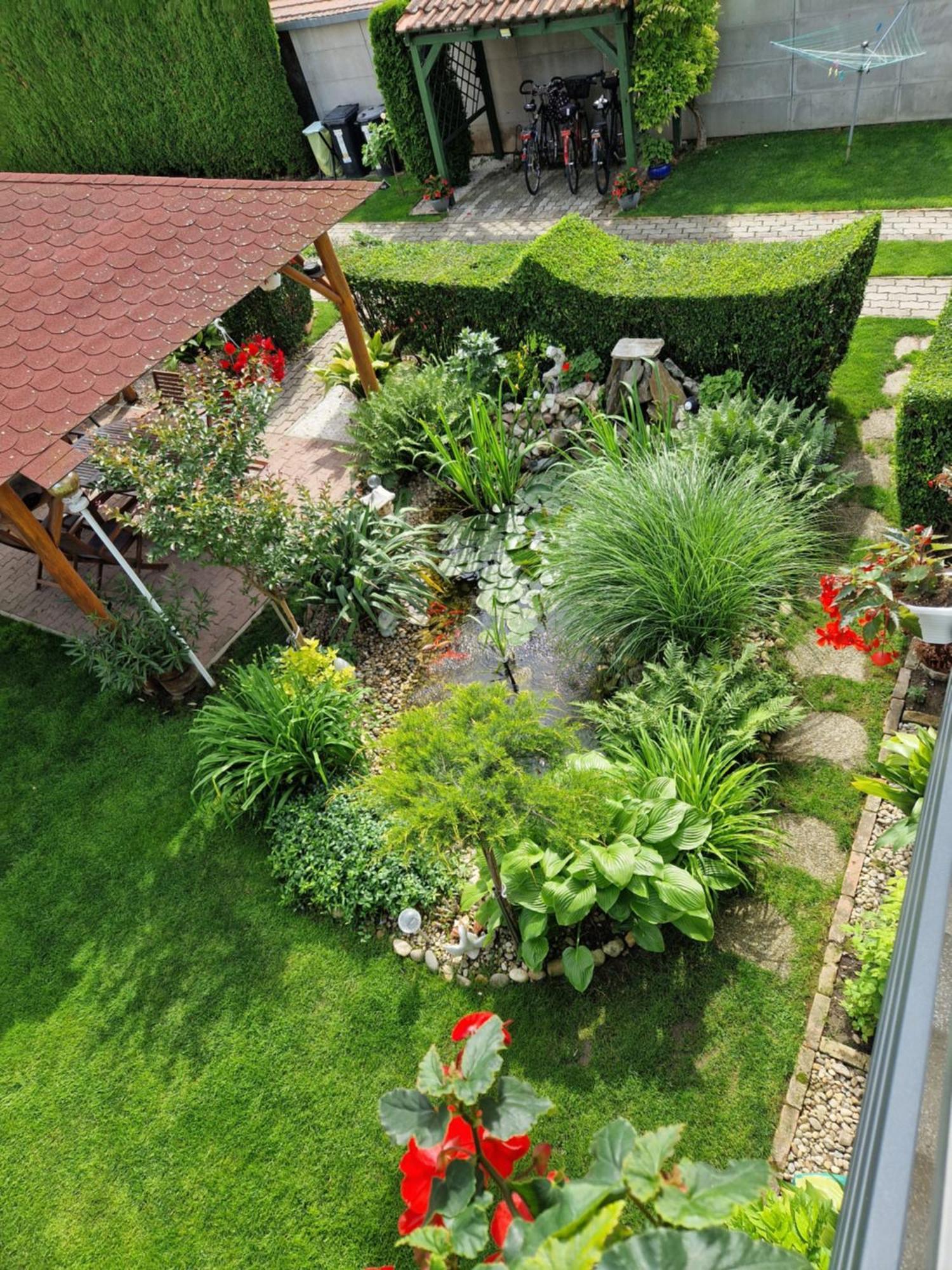 Hajnalka Vendeghaz Hotel Bük Exterior foto